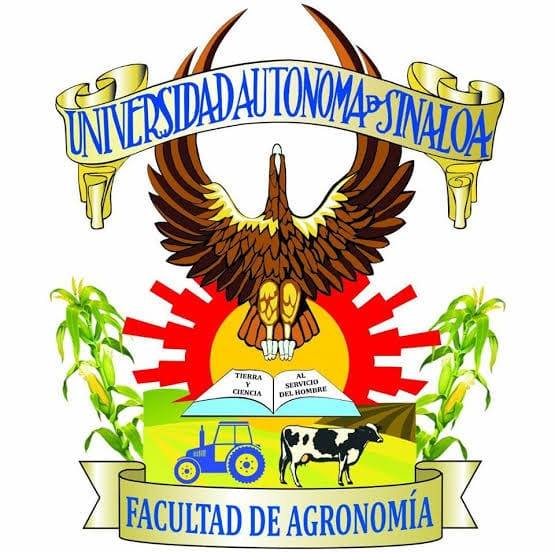 collection logo